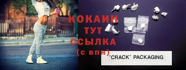 твердый Щучье