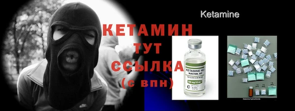 стаф Щигры