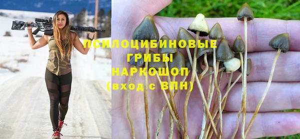 кокс Алексин