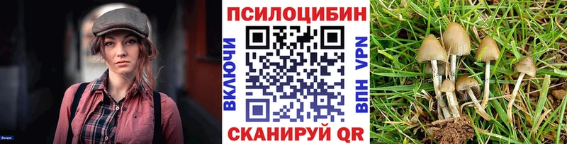 Псилоцибиновые грибы GOLDEN TEACHER  сколько стоит  Вихоревка 