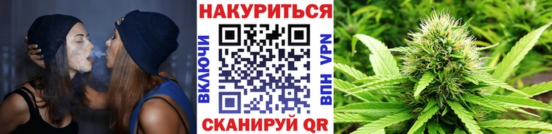 Бошки Шишки гибрид Вихоревка